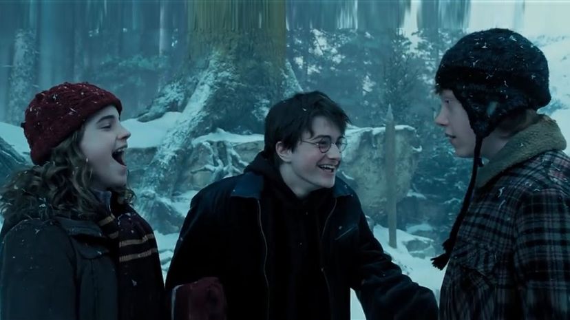 Answer Some Harry Potter Questions and We'll Guess Which Wizard Would Be Your Boyfriend