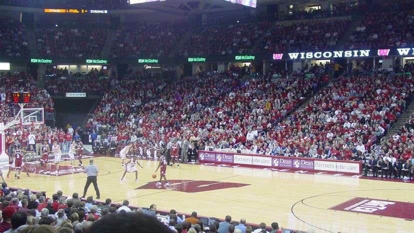 Wisconsin Badgers