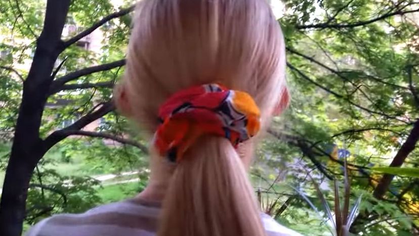 Hair Scrunchies