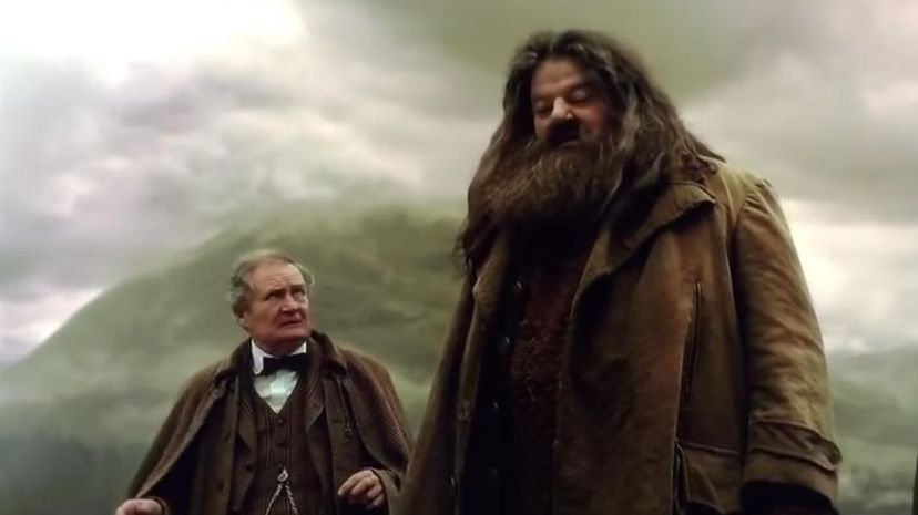 Slughorn and Hagrid