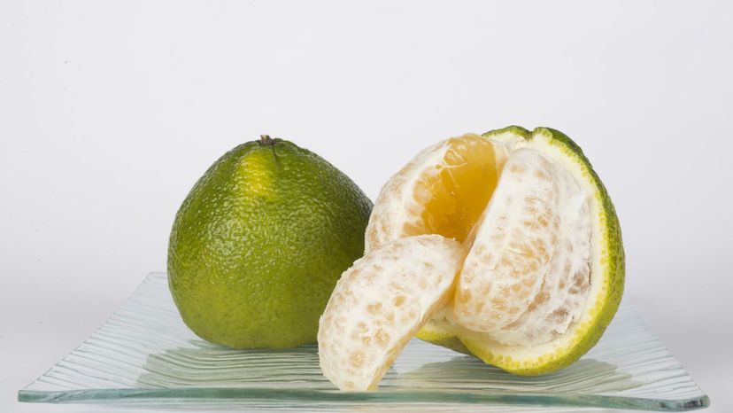 Ugli Fruit