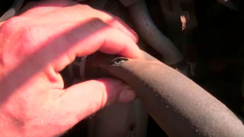 2-Blown Radiator Hose