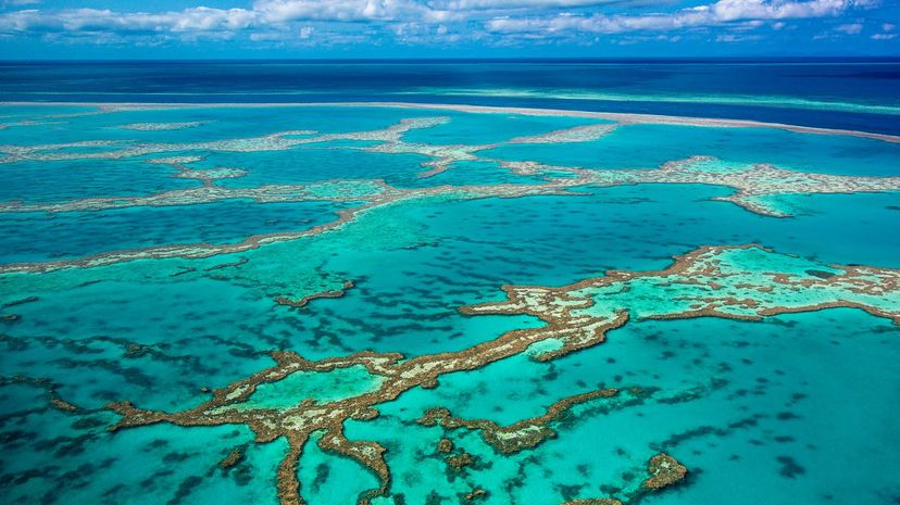 6-Great Barrier Reef