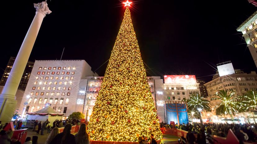 San Francisco Christmas Tree