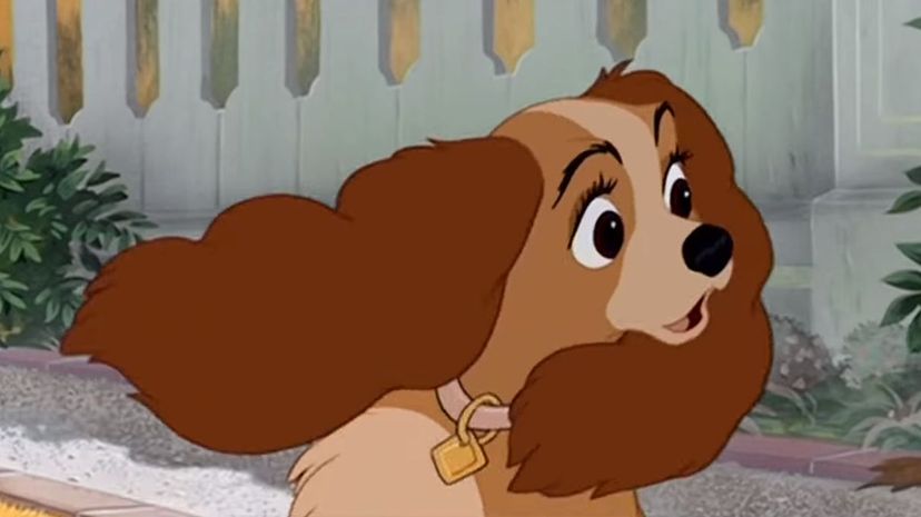 Lady and the Tramp 1955 - Lady