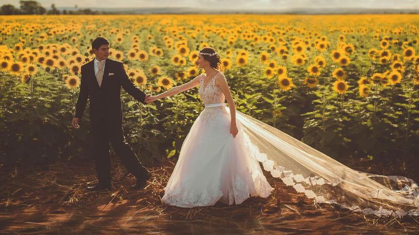 Couple Flower fields