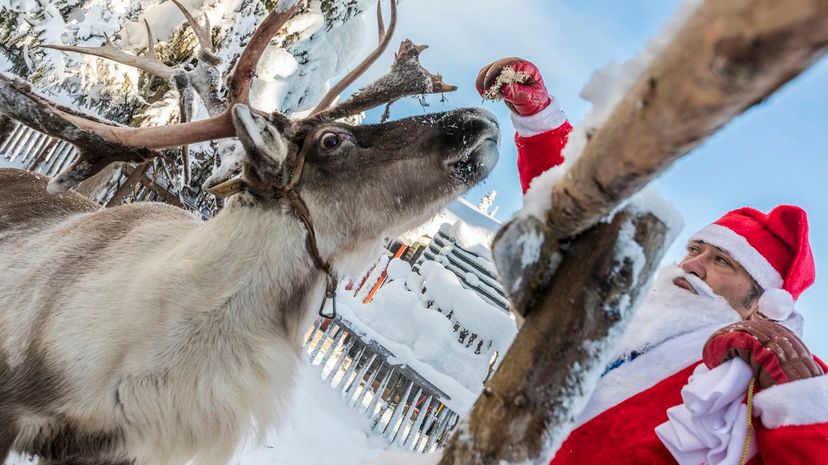 30 Santa Feeding Reindeer