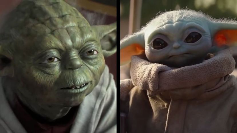 Are You Yoda or Baby Yoda?