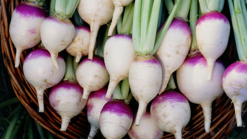 7 turnips GettyImages-522162442