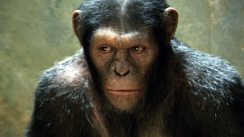 Rise of the Planet of the Apes (2011)_1