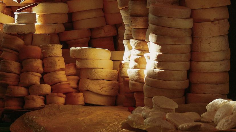 Can We Guess Your Favorite Color Based off Your Taste in Cheese?