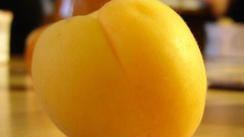 Apricot fruit