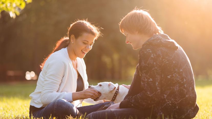 Couple with dog