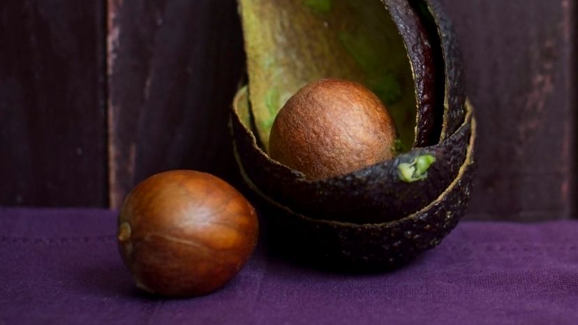 31 avocado seed GettyImages-162897024