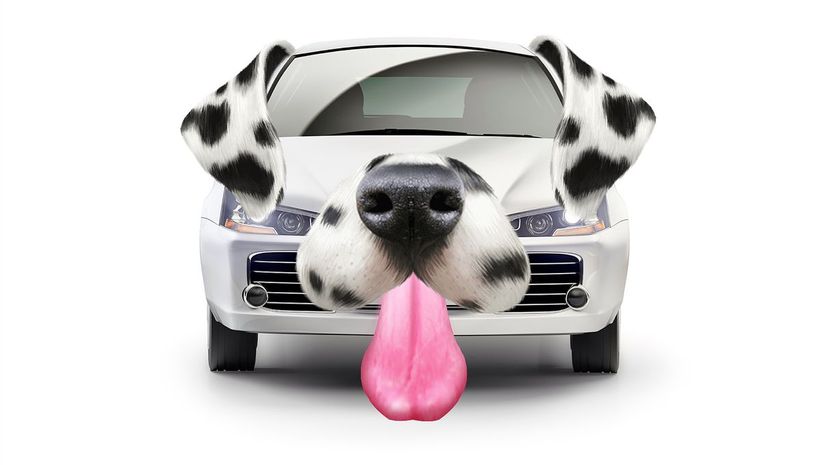 Can You Identify These Cars If We Disguise Them As Dogs?