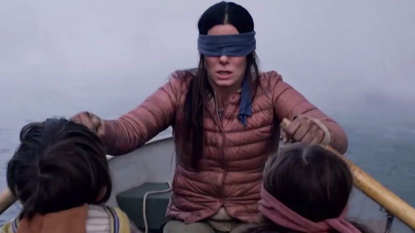 Bird Box