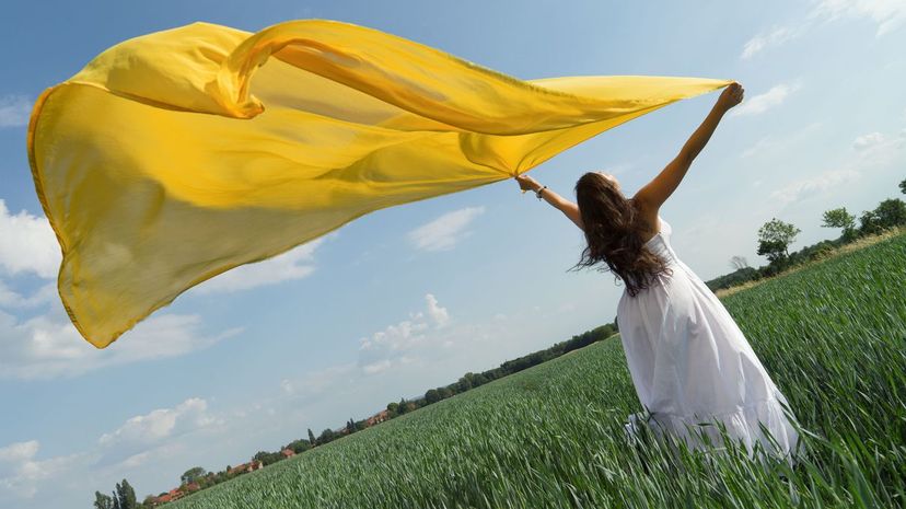 Young woman on field holding yellow scarf in wind