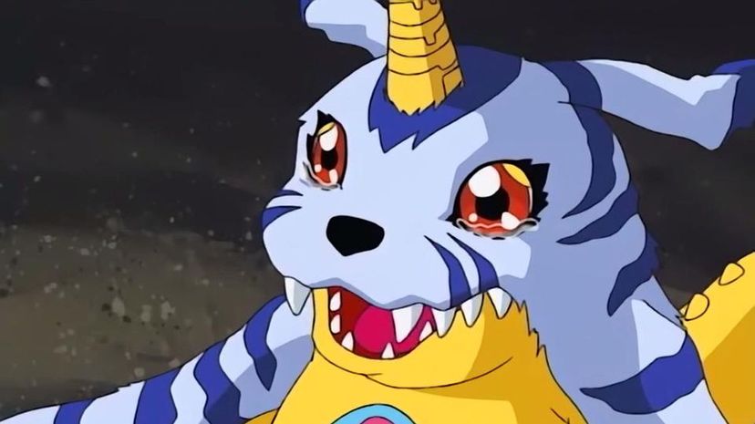 9 - Gabumon/Garurumon