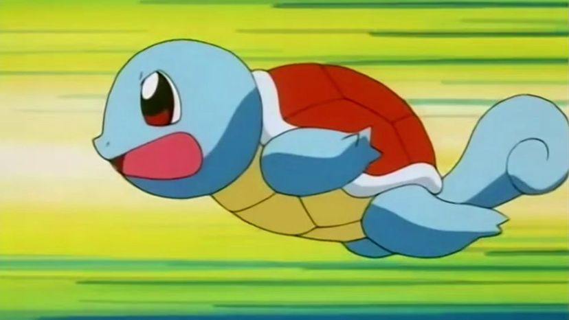 Squirtle   