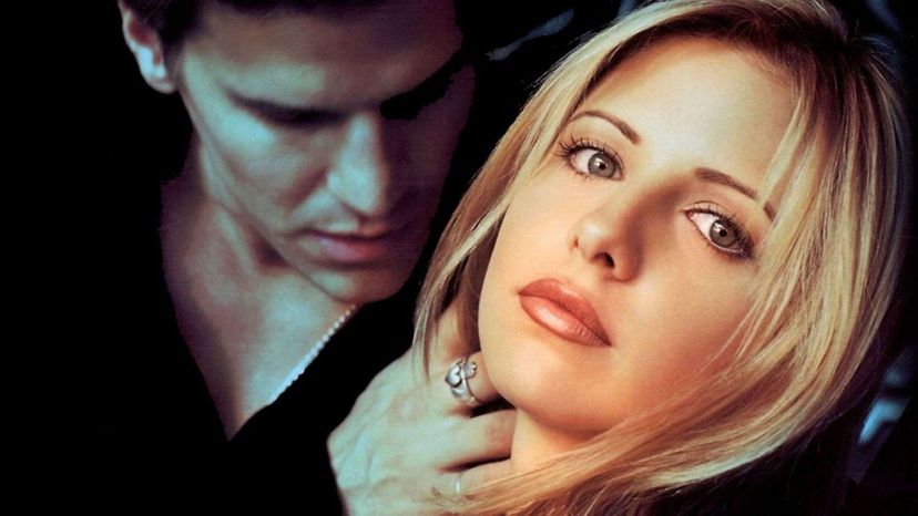 Are you a real fan of the Buffy, the Vampire Slayer, Television Series?