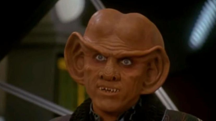 Quark