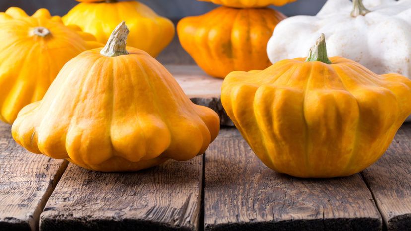 Pattypan squash