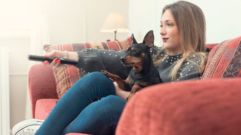 Woman Watch TV with Dog
