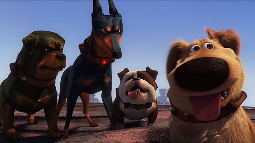 Can You Name All of These Movie Dogs From One Screenshot?