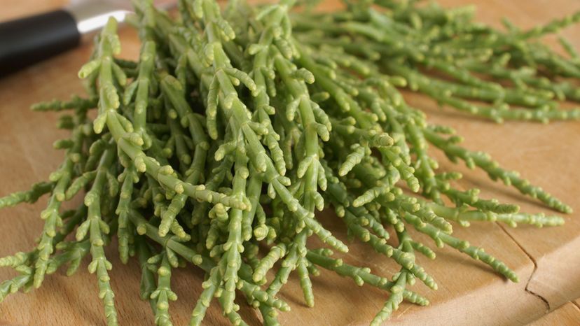 Sea Beans