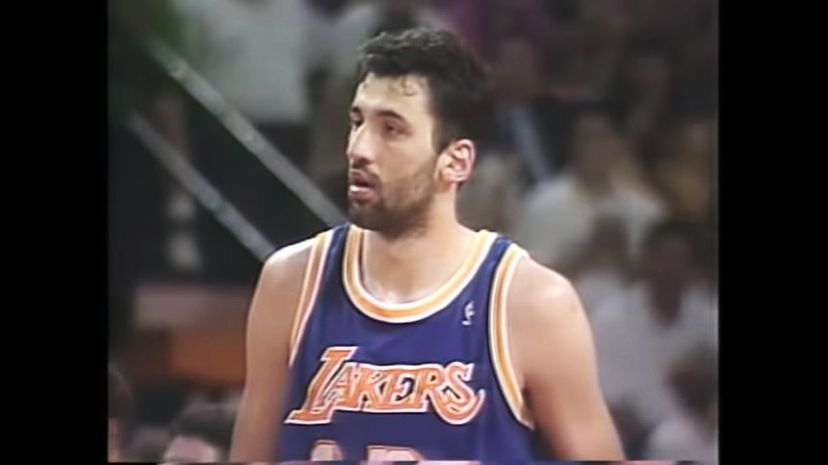 28 vlade divac