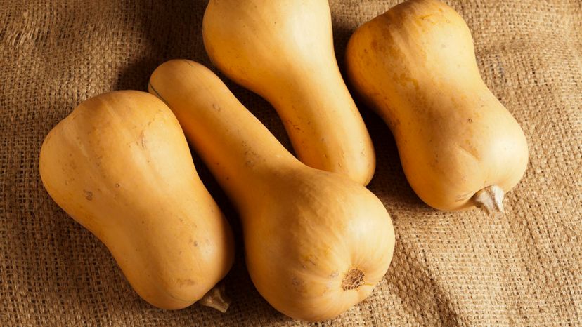 32 Butternut squash GettyImages-160292209