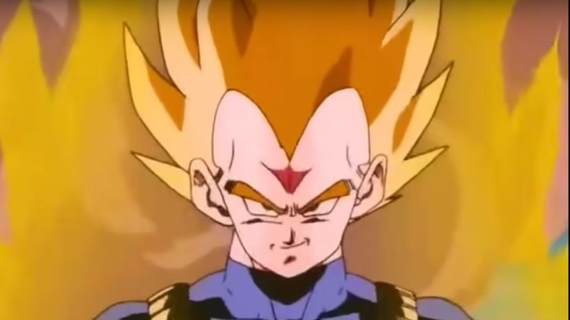 Q 28 Vegeta Saiyan