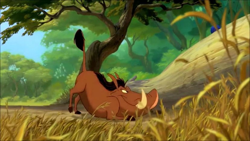 Pumbaa Lion King