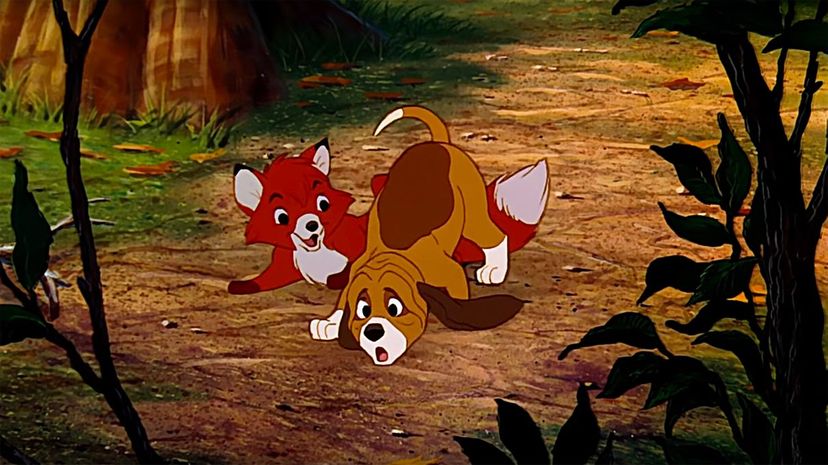 The Fox and the Hound