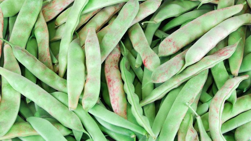 Pole beans