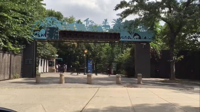 The Bronx Zoo