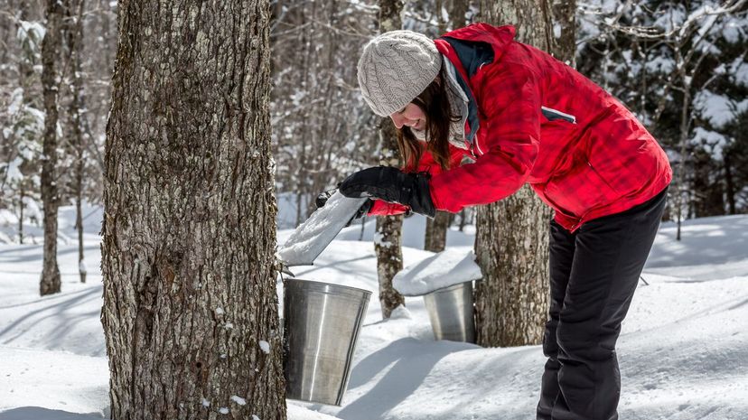 Are You a True Canadian?