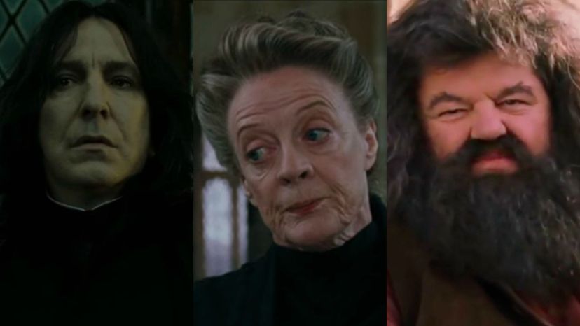 Describe Your Life as a Student at Hogwarts and We'll Guess Which Teacher Likes You the Most!