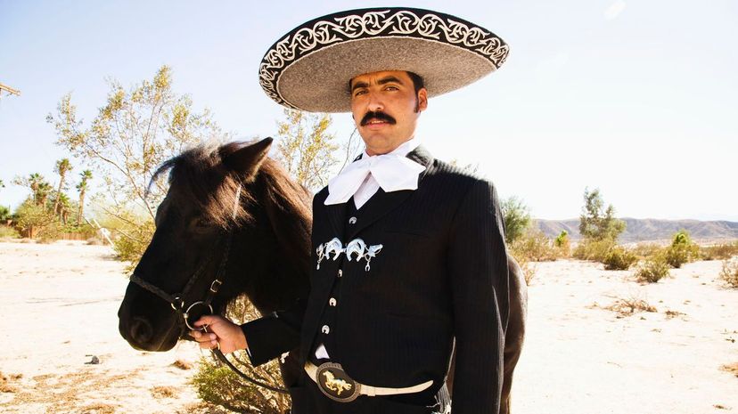 Man in sombrero with horse