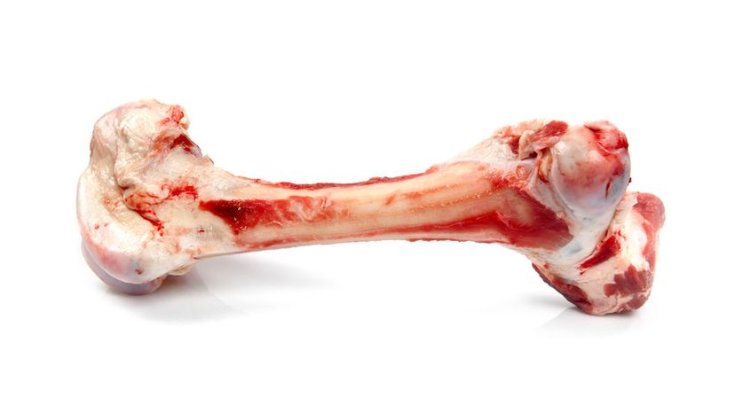 Raw bones