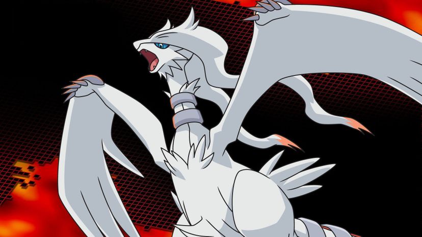 Black-Victini and Reshiram