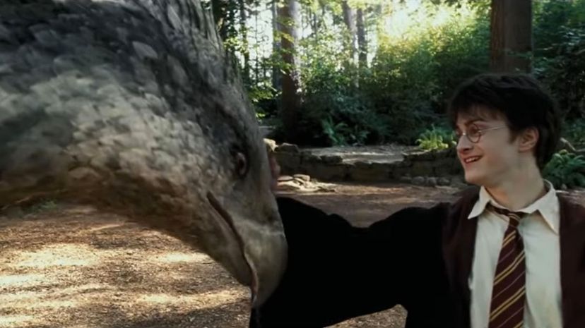 24 Buckbeak hippogriff