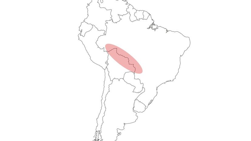 27 Bolivia Brazil
