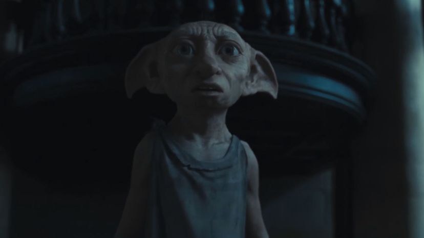 House Elf