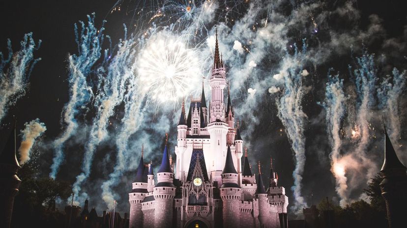 21 - Disney parks magical 