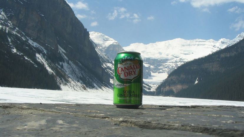 Q11 - canada dry