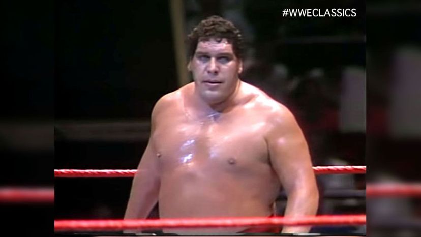 Andre the Giant