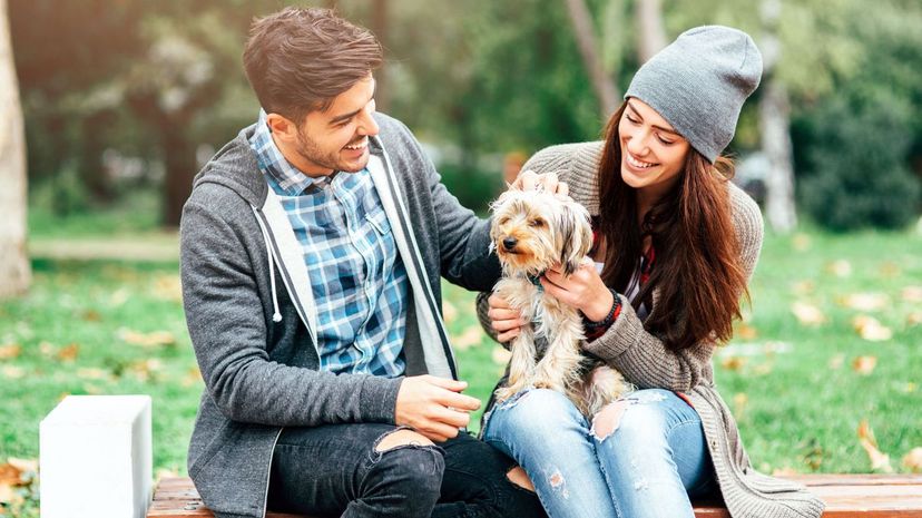Man and woman petting dog in the park