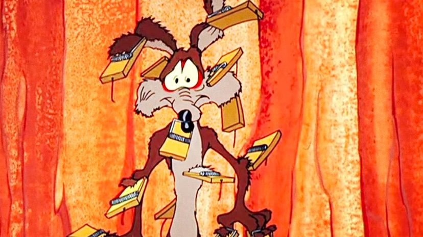 Wile E Coyote mouse traps