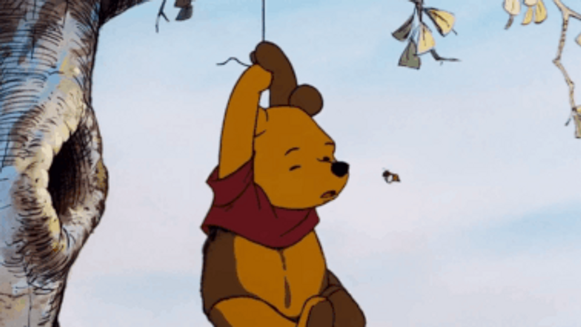 Winnie the Pooh